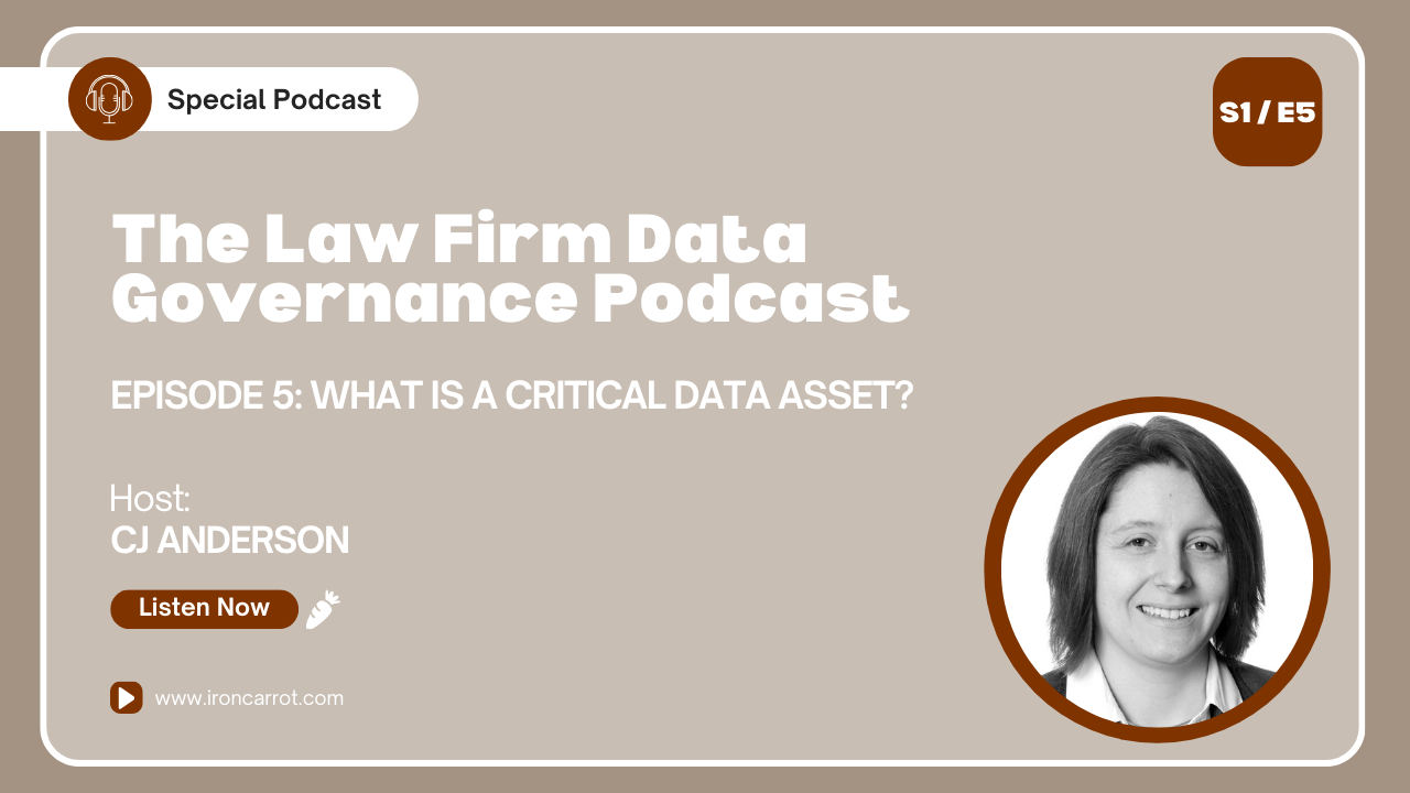 What is a critical data asset?