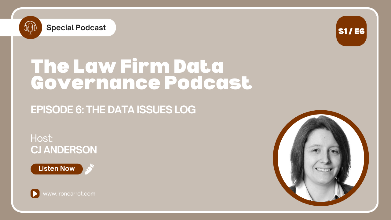 The data issues log