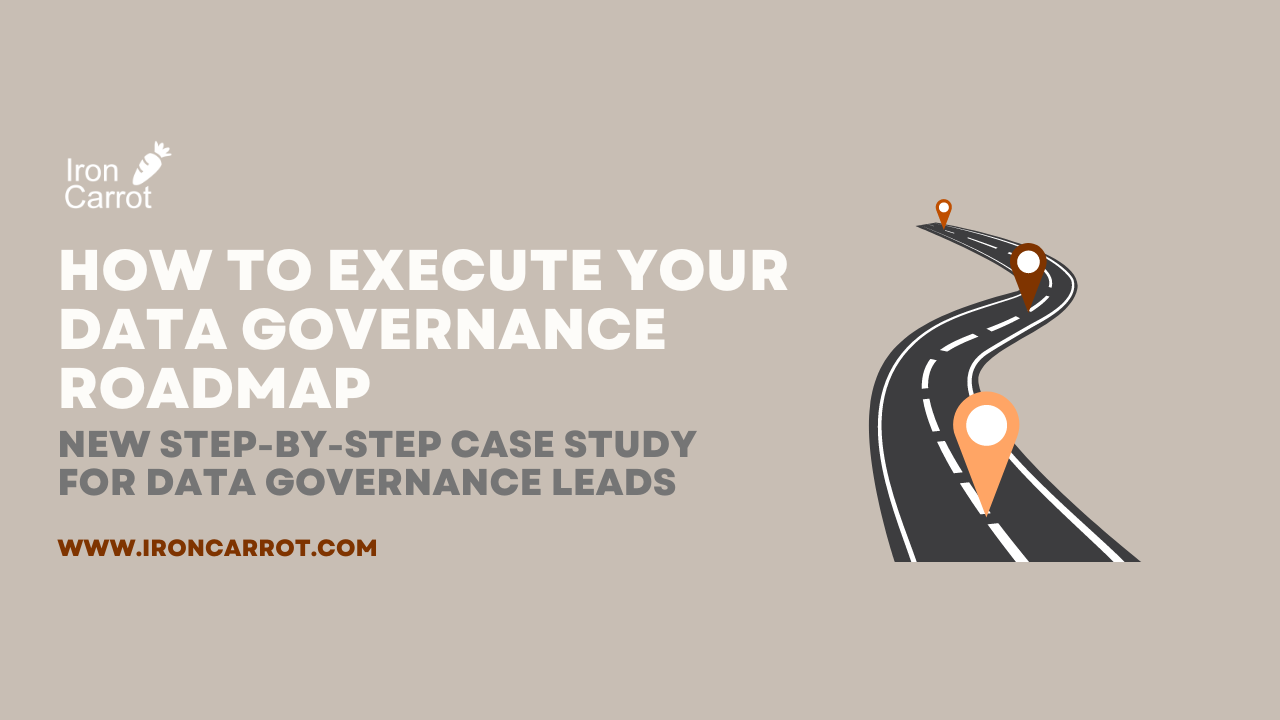How to Execute your Data Governance Roadmap (New Step-by-step Case Study for Data Governance Leads)