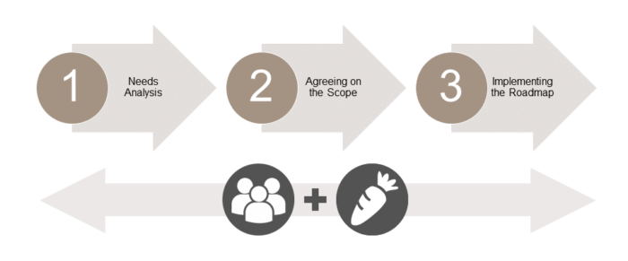 Iron Carrot Data Governance Roadmap Implementation Process