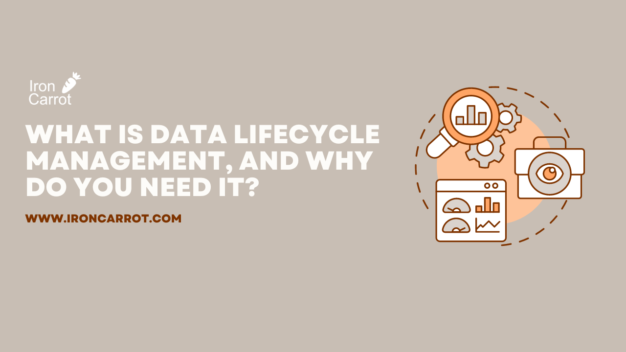 What is data lifecycle management, and why do you need it?