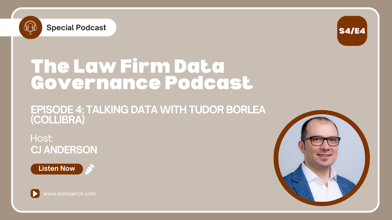 Talking Data with Tudor Borlea (Collibra)