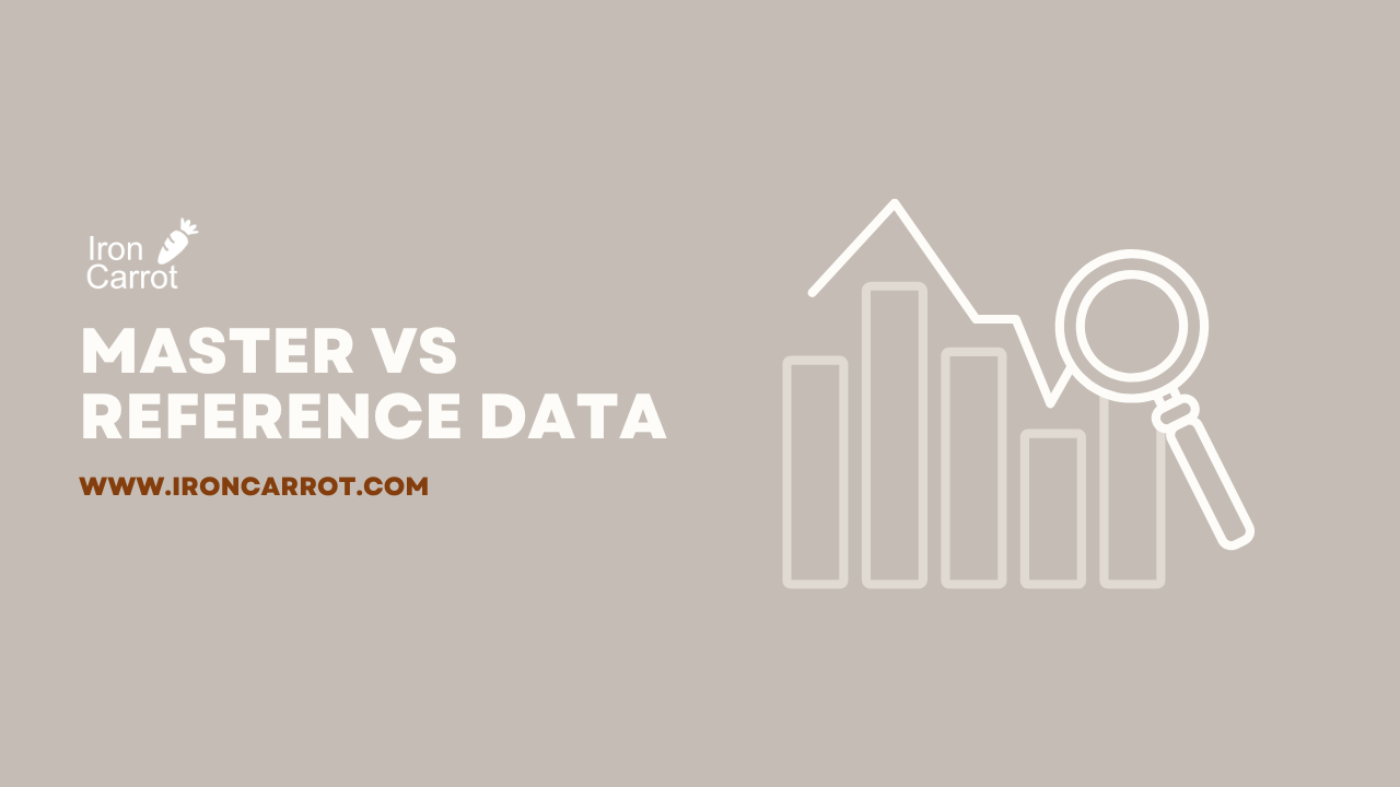 Master vs Reference Data